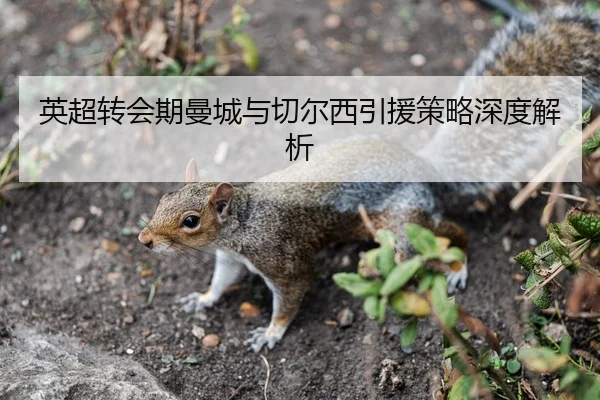英超转会期曼城与切尔西引援策略深度解析